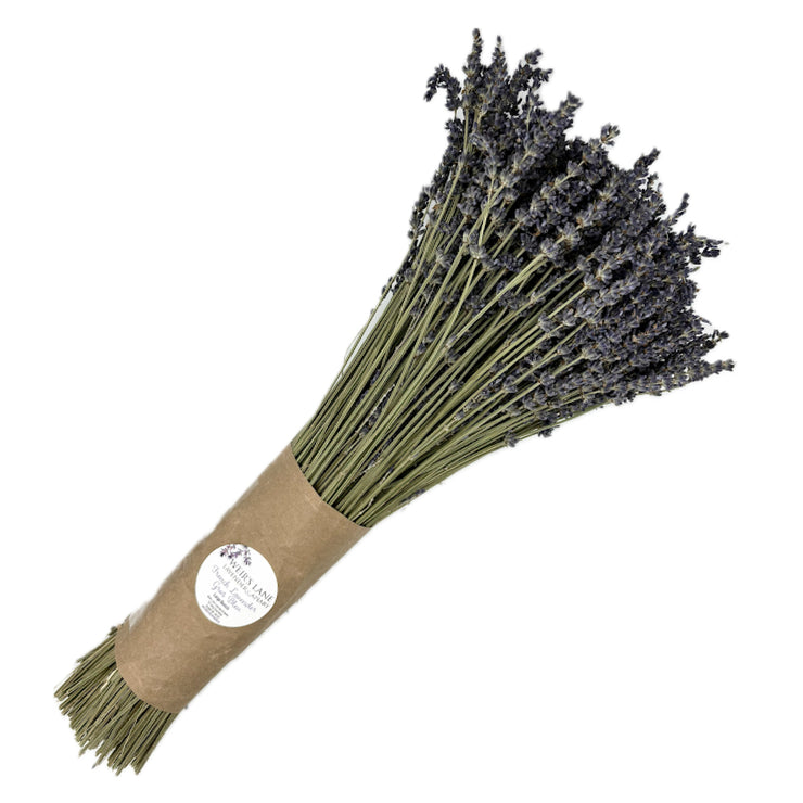 Dried Lavender Stems (Flowers)