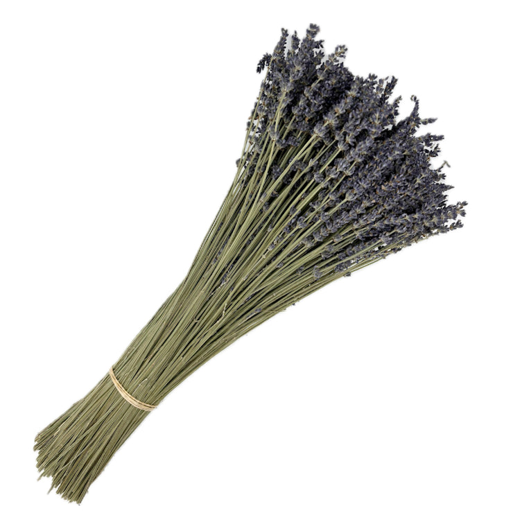 Dried Lavender Stems (Flowers)