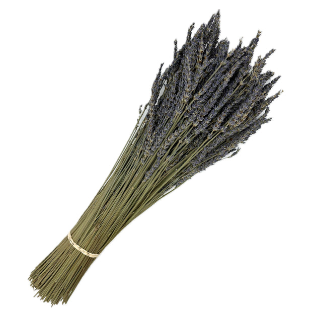 Dried Lavender Stems (Flowers)