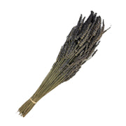 Dried Lavender Stems (Flowers)