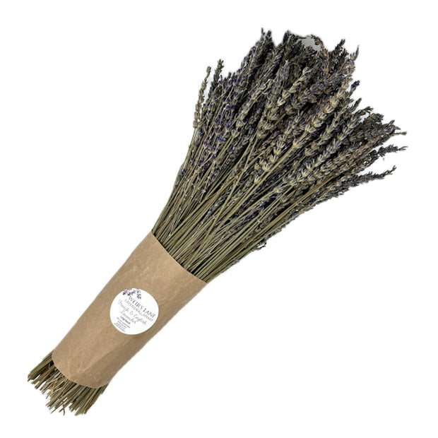 Dried Lavender Stems (Flowers)